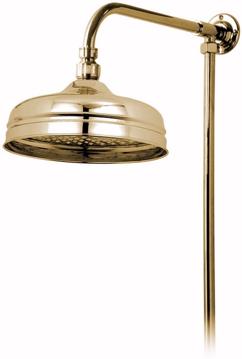 Additional image for Traditional rigid riser in gold with 8" shower head.