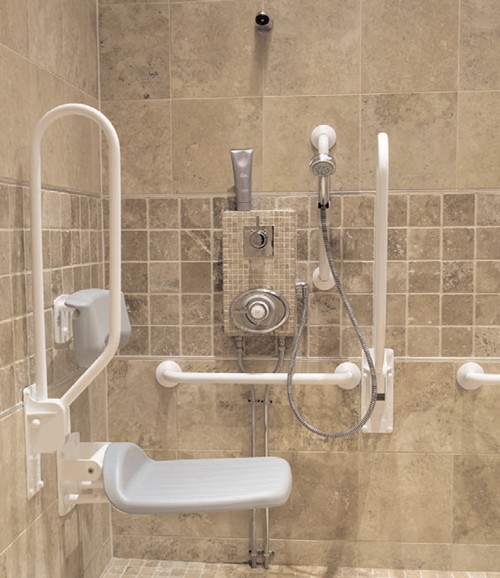 Additional image for Thermostatic Shower With White Grab Rails.