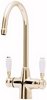 Astracast Springflow Colonial Water Filter Kitchen Faucet in gold.