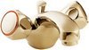 Deva Profile Mono Basin Mixer Faucet With Pop Up Waste (Gold).