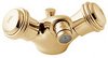 Deva Senate Mono Bidet Mixer Faucet With Pop Up Waste (Gold).