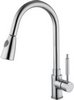 Hydra Lily Kitchen Faucet With Pull Out Spray Rinser (Chrome).