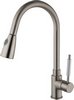 Hydra Lily Kitchen Faucet With Pull Out Spray Rinser (Brushed Steel).