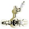 Ultra Beaumont Twin Exposed Shower Valve (Gold, Special Order)