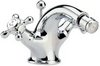 Hudson Reed Jade Mono bidet mixer + free pop up waste.