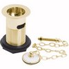 Wastes Brass basin waste with ceramic plug and link chain (Gold)