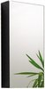 Hudson Reed Quintus Mirror Bathroom Cabinet (Black).  380x730x130mm.